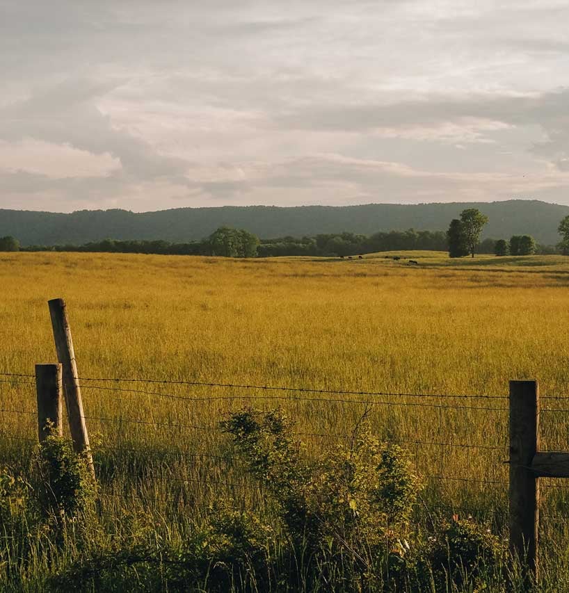 Mountain West landscape with a fence and field.